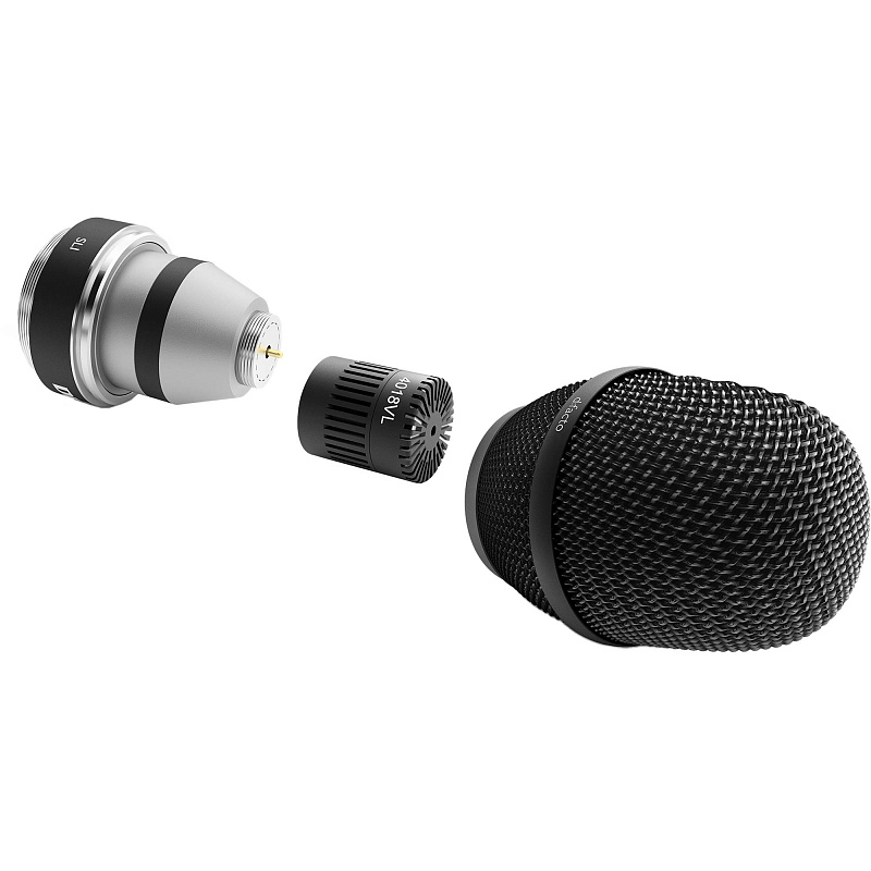 Фото DPA 4018VL-B-SL1