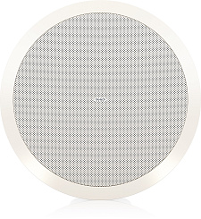 Tannoy CVS 801  