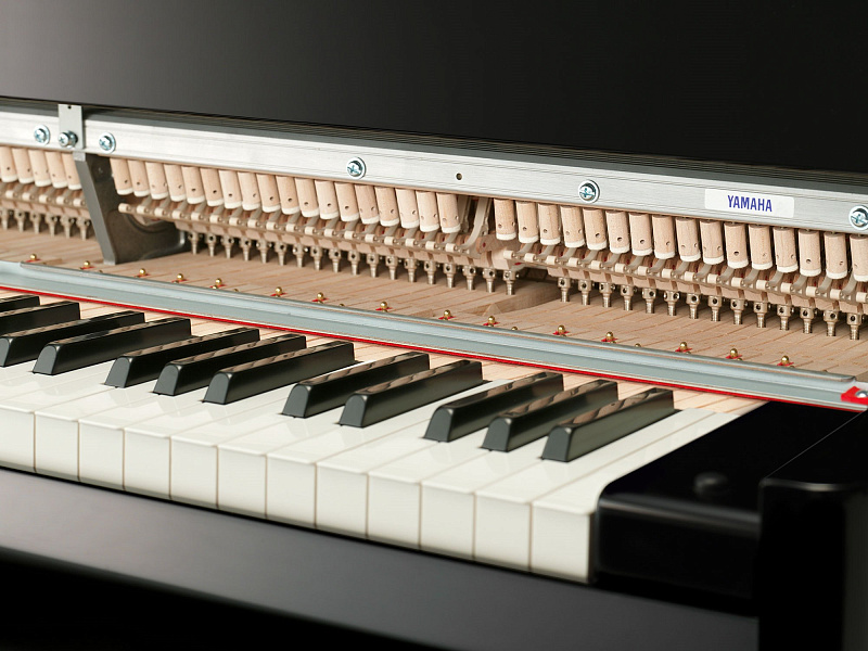 Фото Yamaha Avant Grand N3X 