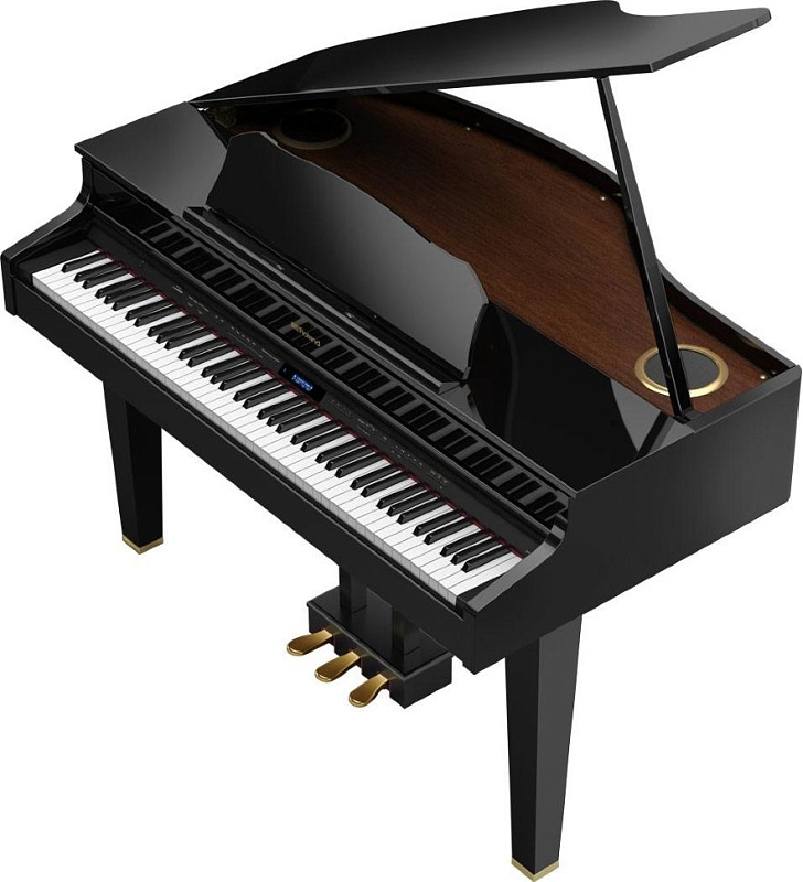 Фото Roland GP607-PE