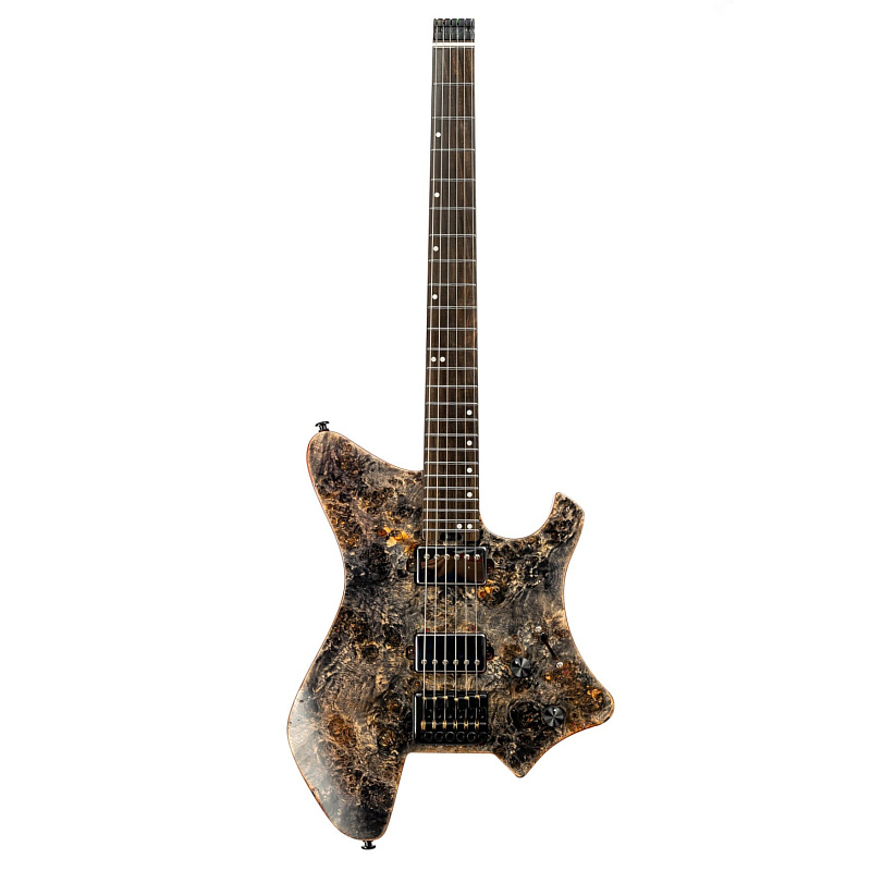 Фото Электрогитара EART GW2 Black
