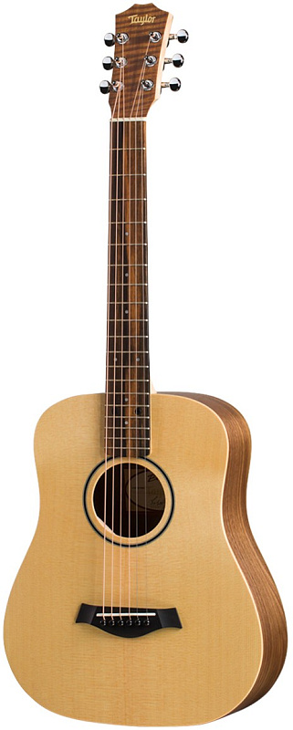 Фото TAYLOR BT1e 