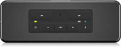 Портативная акустическая система Tannoy LIVE MINI  