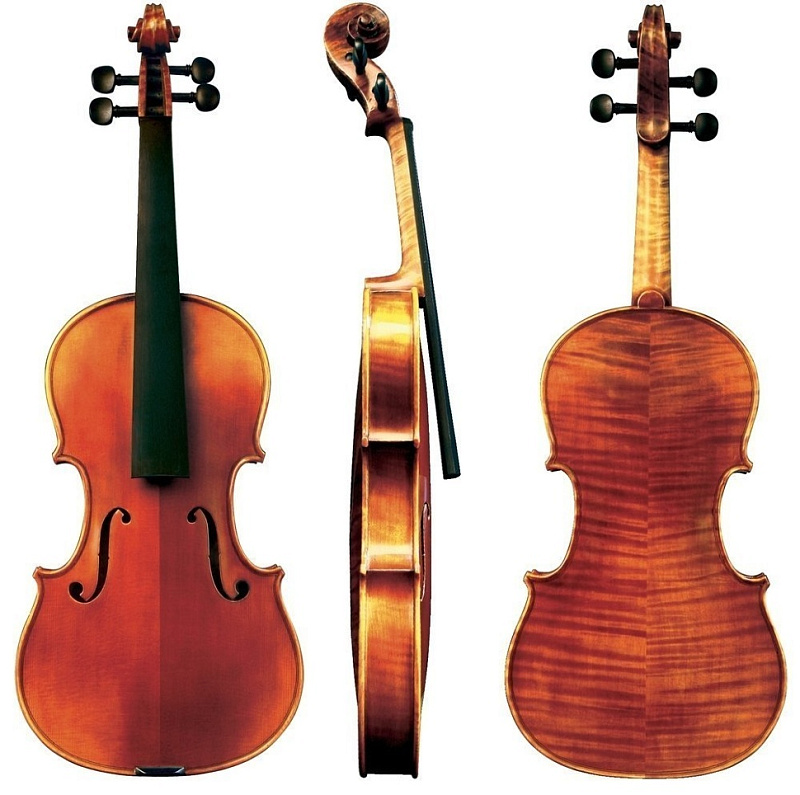 Фото GEWA Violin Maestro 6 Redbrown 4/4