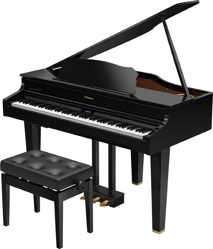 Фото Roland GP607-PE