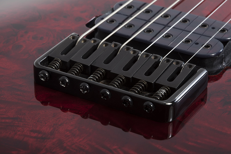 Фото Электрогитара Schecter OMEN ELITE-6 BCHB