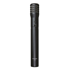 Tascam TM-60