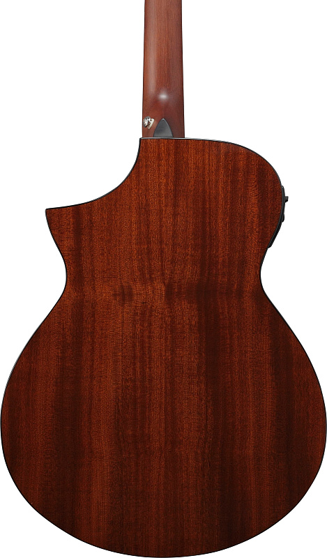 Фото IBANEZ AEWC11-DVS