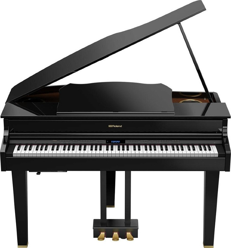 Фото Roland GP607-PE