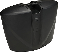 Активная акустическая система FENDER Passport® Venue Series 2 Black 230V EU
