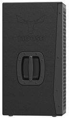 Пассивная акустическая система MOOSE DUAL-C10