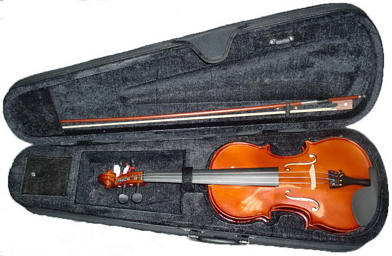 Фото Скрипка Livingstone VV-100 3/4