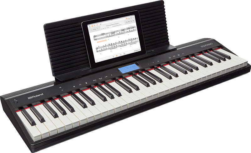 Фото Roland GO-61P