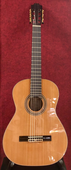 Гитара классическая Badem C-7 в магазине Music-Hummer