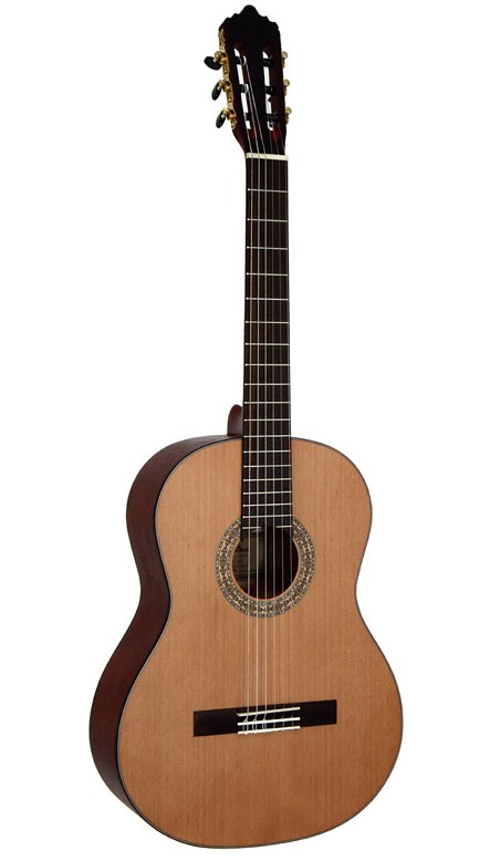 Классическая гитара Dowina Rustica CL (CL 555-LE) в магазине Music-Hummer