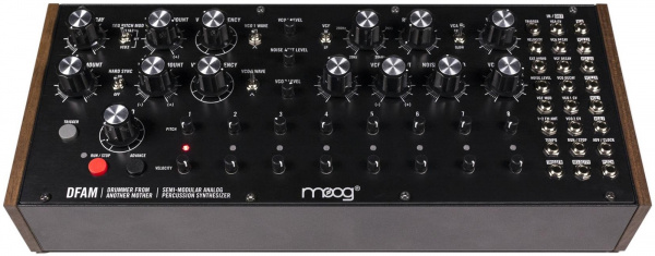 Moog DFAM в магазине Music-Hummer