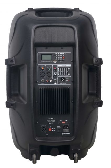 Акустическая система AURA A215MP3-Battery в магазине Music-Hummer