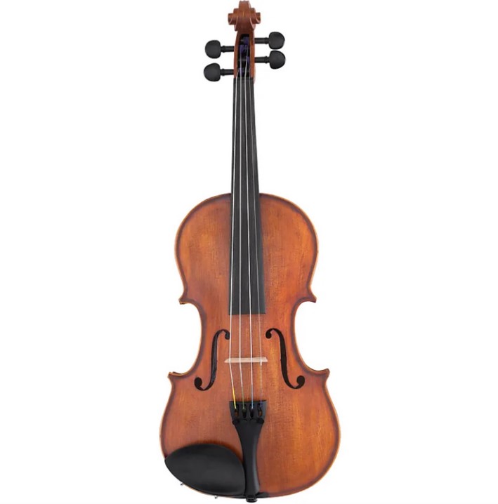 Скрипка студенческая 1/2 в футляре со смычком Scherl & Roth SR51E2H Galliard в магазине Music-Hummer