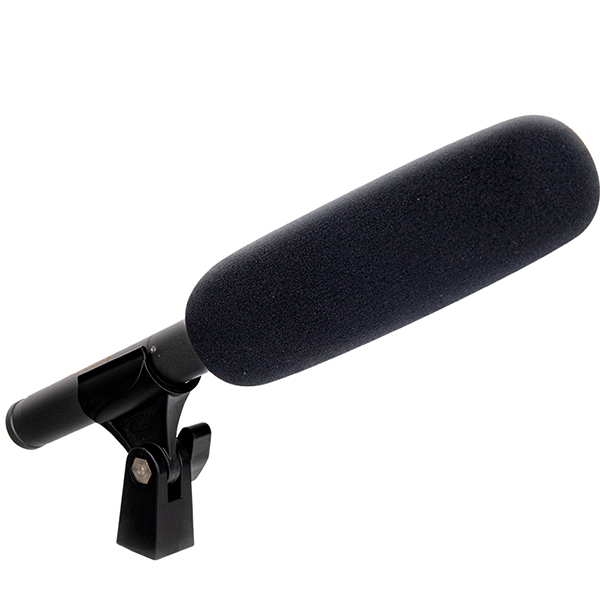 Микрофон-пушка конденсаторный Alctron DSG-1 в магазине Music-Hummer