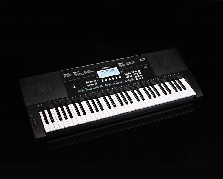 Синтезатор, 61 клавиша Medeli M17 в магазине Music-Hummer