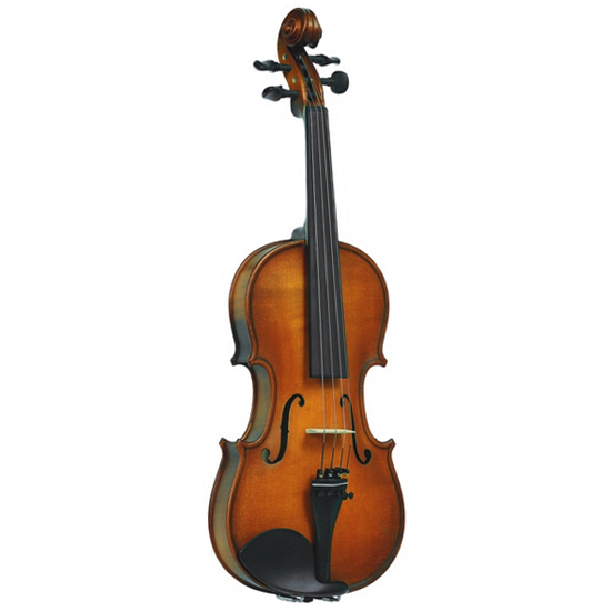 Скрипка Gliga S-V014 Student Genial I в магазине Music-Hummer