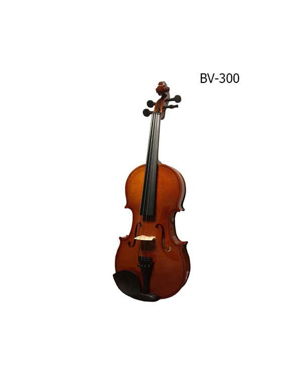 Скрипка BRAHNER  BV-300 1/16 в магазине Music-Hummer