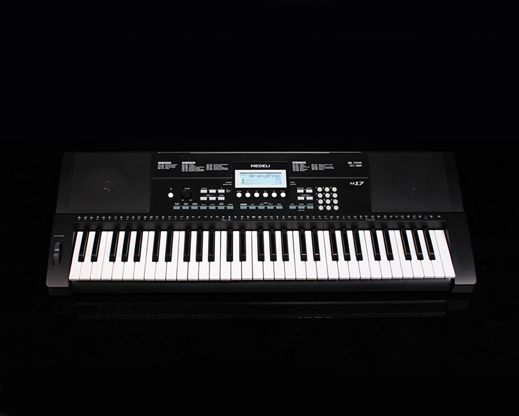 Синтезатор, 61 клавиша Medeli M17 в магазине Music-Hummer
