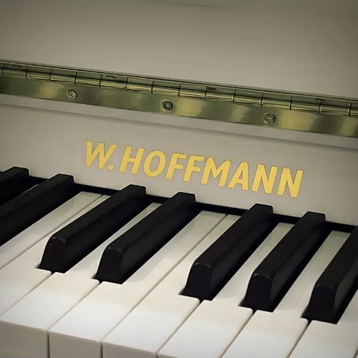 W. Hoffmann Vision V 120 white в магазине Music-Hummer