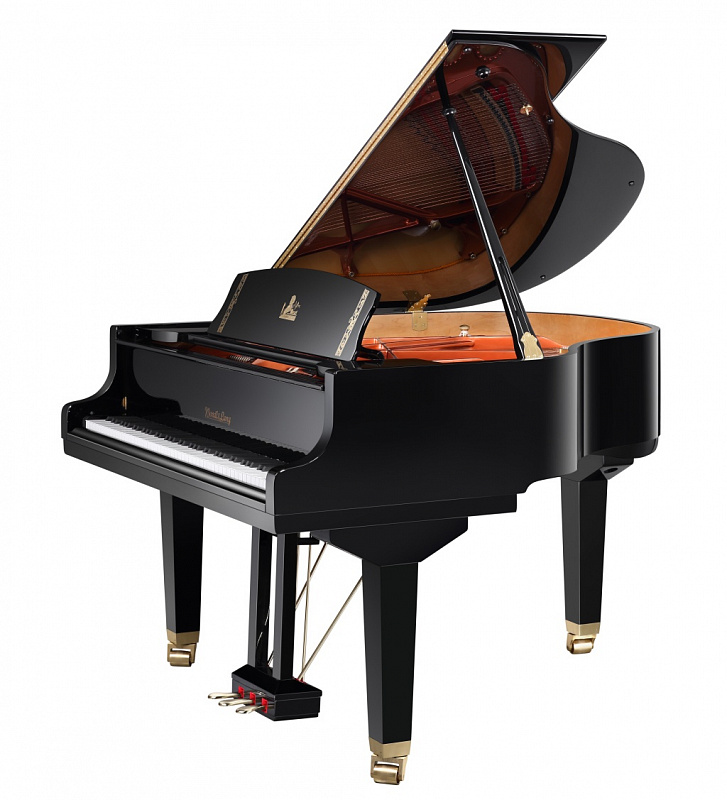 Рояль акустический Wendl&Lung W162BK в магазине Music-Hummer