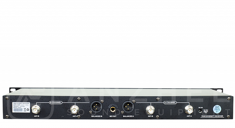 Радиосистема Anzhee RS500 dual HH в магазине Music-Hummer