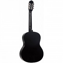 Классическая гитара TERRIS TC-390A BK