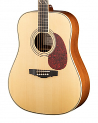 Акустическая гитара Naranda DG303NA