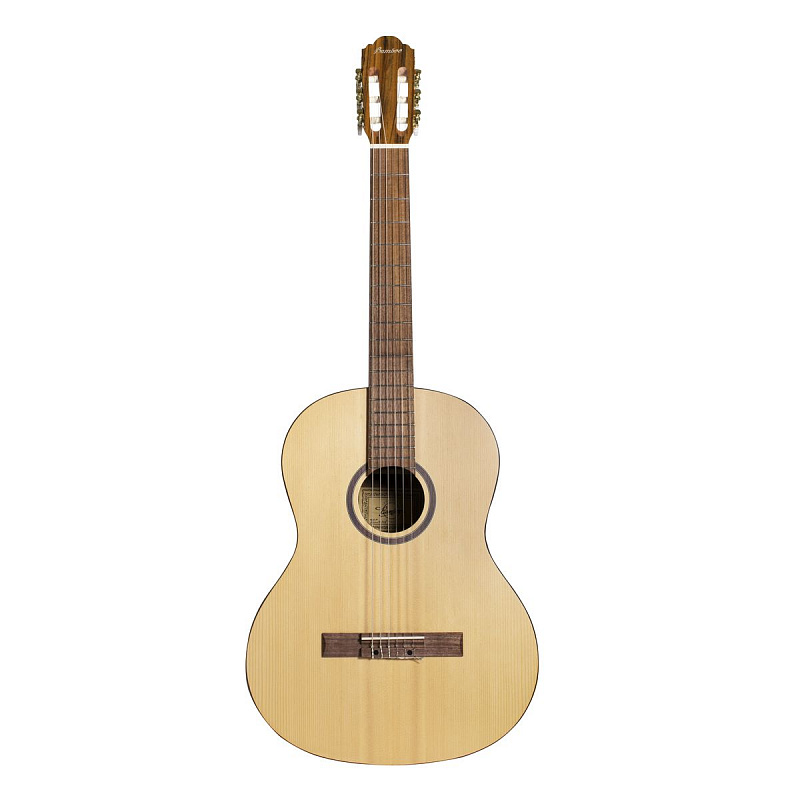 Гитара классическая Bamboo GCI-39 Pro в магазине Music-Hummer