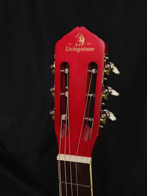 Гитара Livingstone Folkblues RD 39"с вырезом в магазине Music-Hummer