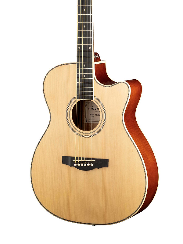 Акустическая гитара Naranda TG220CNA в магазине Music-Hummer
