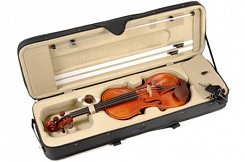 Скрипка DOWINA Belcanto Violin BCV
