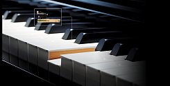Цифровое пианино Casio GP-500BP