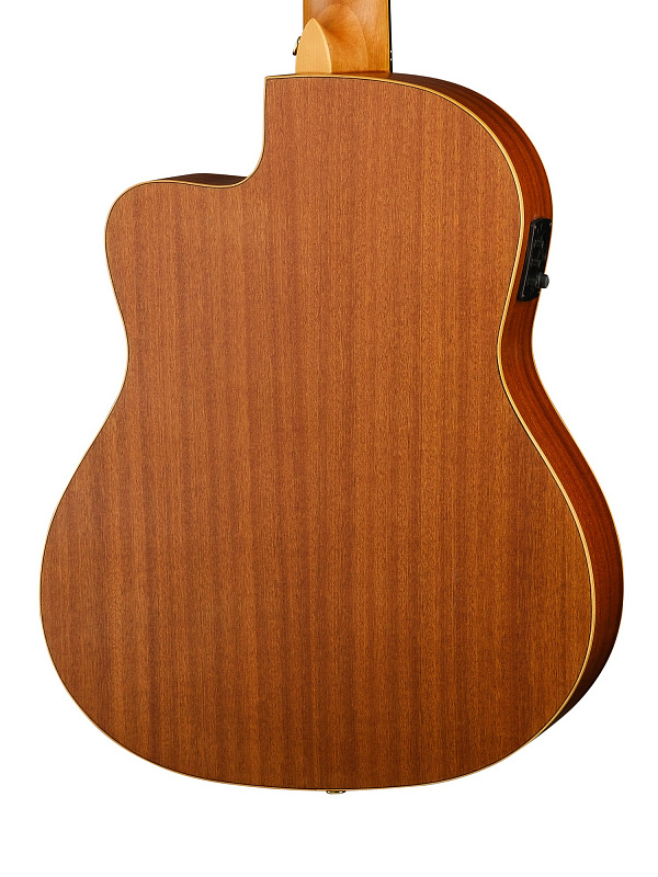 Классическая гитара Ortega RCE131 Family Series Pro  в магазине Music-Hummer