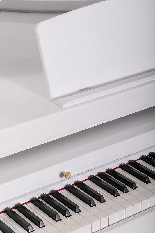 Цифровой рояль Orla Grand-500-WHITE, с автоаккомпанементом в магазине Music-Hummer
