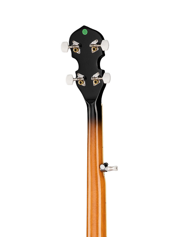 Банджо 5-струнное Caraya BJ-005 в магазине Music-Hummer