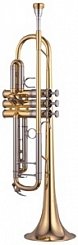 Труба Yamaha YTR-8345G Xeno