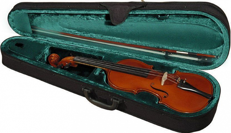 Скрипка студенческая в футляре с смычком Hora SKR100-4/4 Student в магазине Music-Hummer