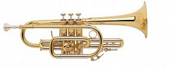 Корнет Bb BACH 184ML Stradivarius