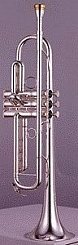 Труба Yamaha YTR-8335GS Xeno