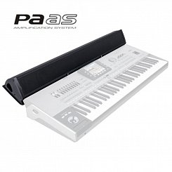 KORG PaAS акустическая система для Pa3X