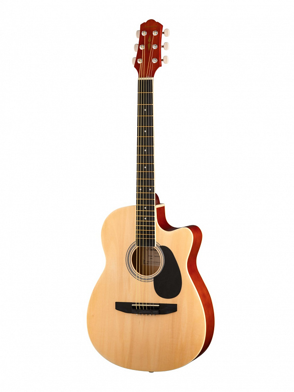 Акустическая гитара Naranda CAG110CNA в магазине Music-Hummer