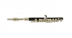 Флейта пикколо WISEMANN DPL-200