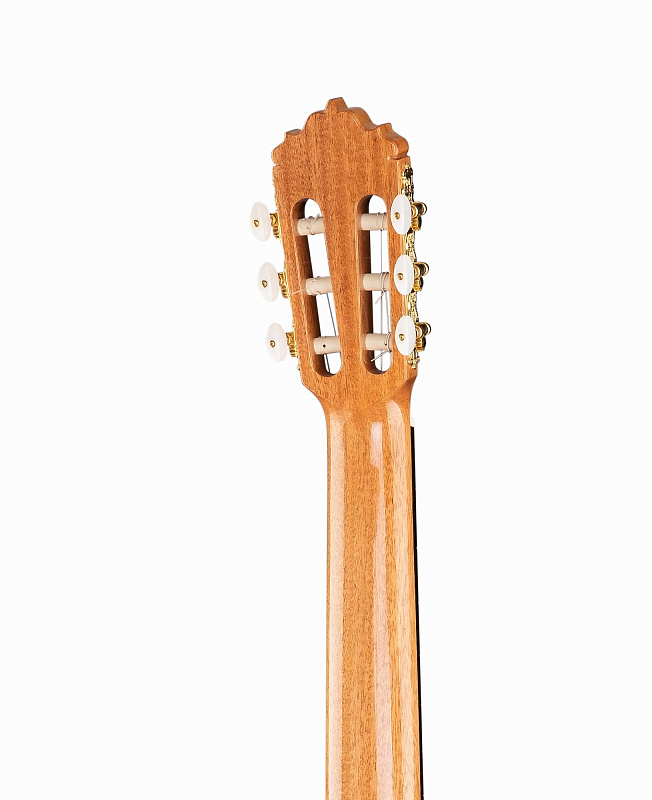 6.209 Classical Conservatory 5P A Классическая гитара, Alhambra в магазине Music-Hummer