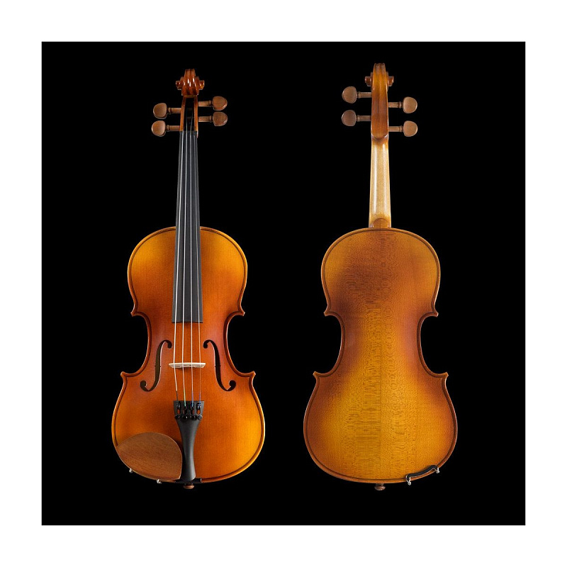Скрипка Pearl River PR-V01 1/8 в магазине Music-Hummer