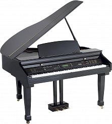 Orla Grand 310 Black Цифровой рояль